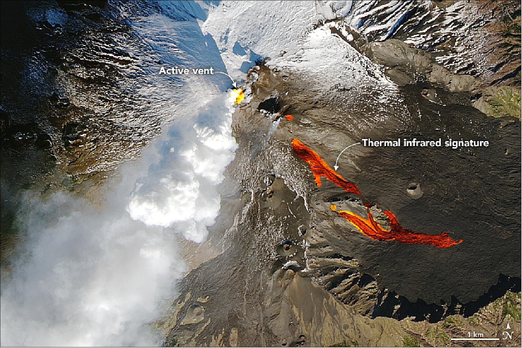 Figure 118: This image highlights the active vent and thermal infrared signature from lava flows, which can be seen near the newly formed fissure on the southeastern side of the volcano. The image was created with data from OLI (bands 4-3-2) and TIRS (Thermal Infrared Sensor) on Landsat-8 (image credit: NASA Earth Observatory, image by Joshua Stevens, using Landsat data from the U.S. Geological Survey. Text by Kasha Patel)