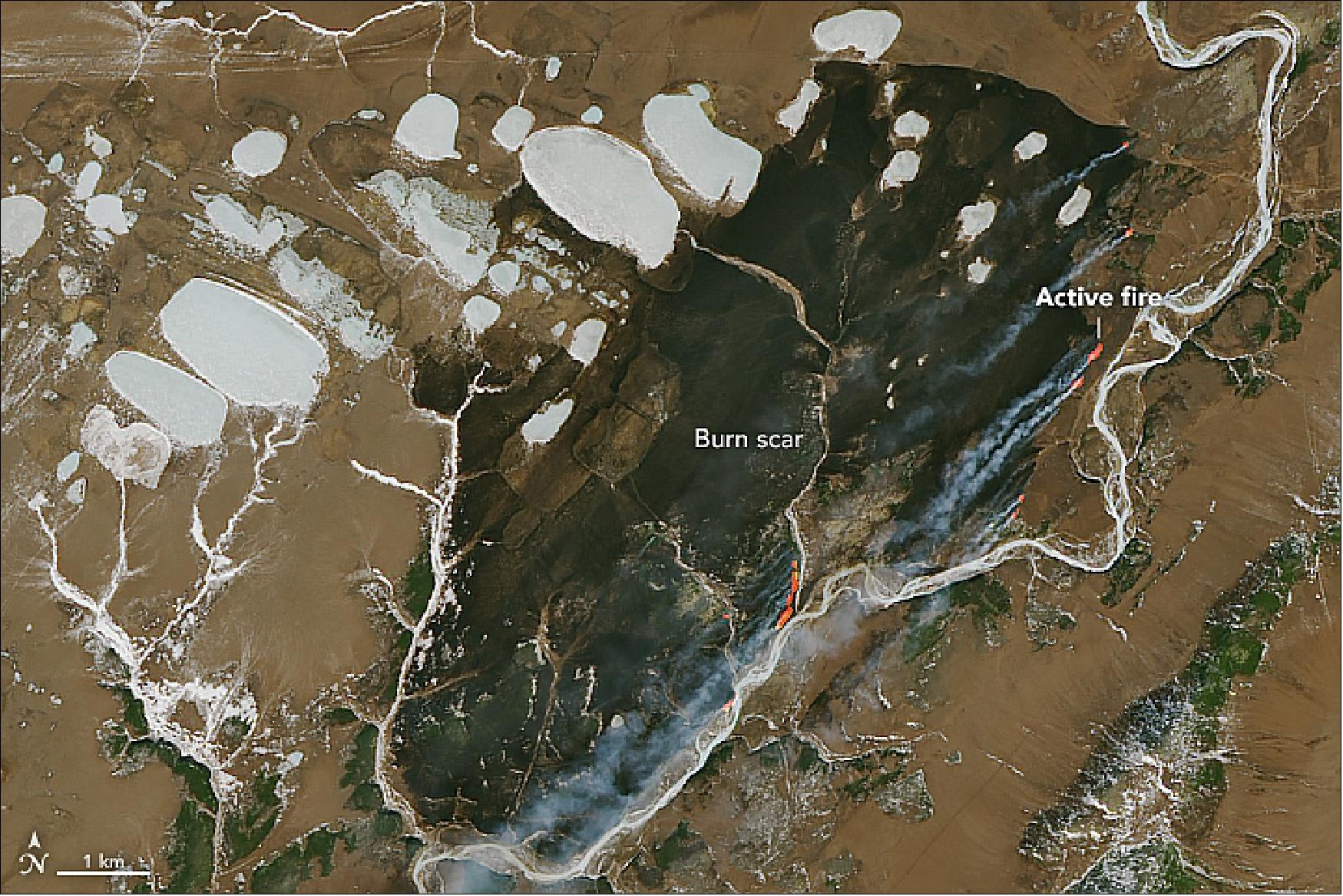 Figure 87: This image and the image of Figure 88 show the fire east of the town of Evensk, as observed by OLI (Operational Land Imager) on Landsat-8 of NASA. The satellite imagery indicates that the fire has been burning since at least April 6. According to Russia’s Federal Forestry Agency, one fire of nearly 4,000 hectares (10,000 acres) was reported on 8 April on forest lands in the Magadan Oblast region (image credit: NASA Earth Observatory, image by Joshua Stevens, using Landsat data from the U.S. Geological Survey. Text by Kasha Patel)