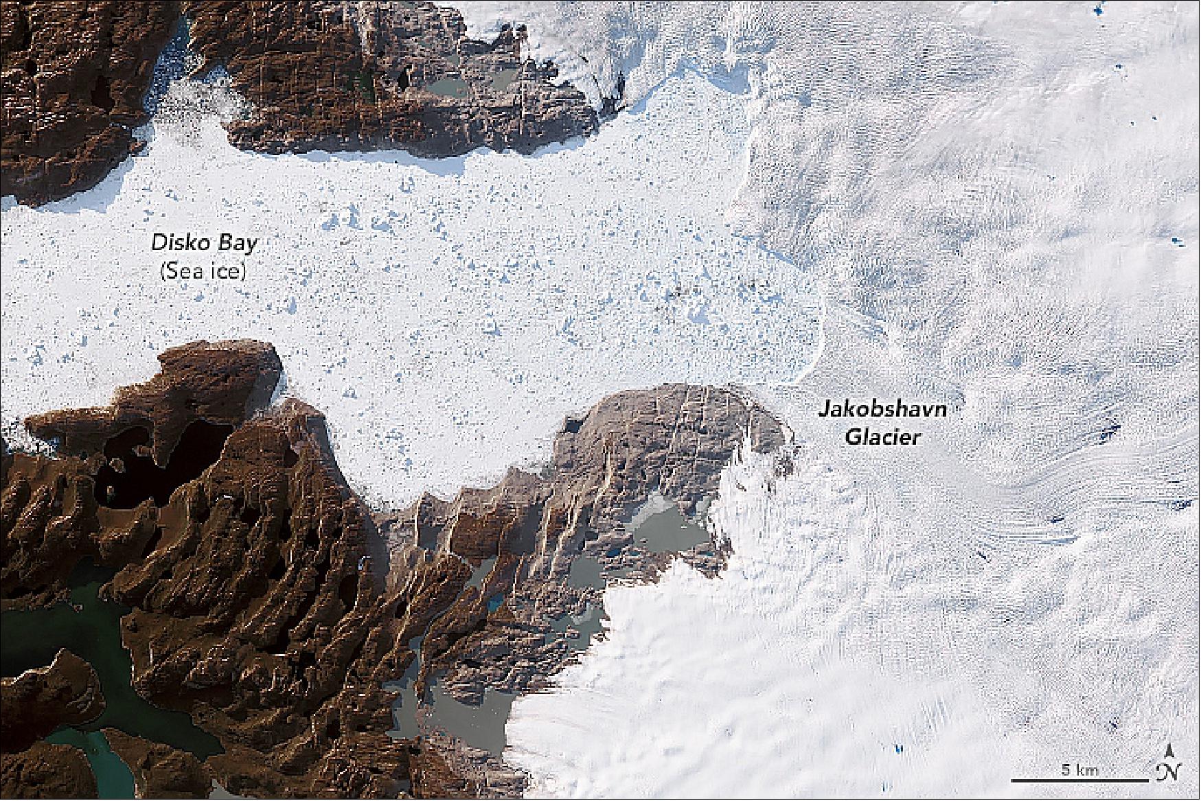 Figure 67: This image, acquired on 6 June 2019, by the OLI (Operational Land Imager) on Landsat-8, shows a natural-color view of the glacier (image credit: NASA Earth Observatory, image by Joshua Stevens, using Landsat data from the U.S. Geological Survey, and data courtesy of Josh Willis/NASA JPL and the Oceans Melting Greenland (OMG) Program. Story by Kathryn Hansen)
