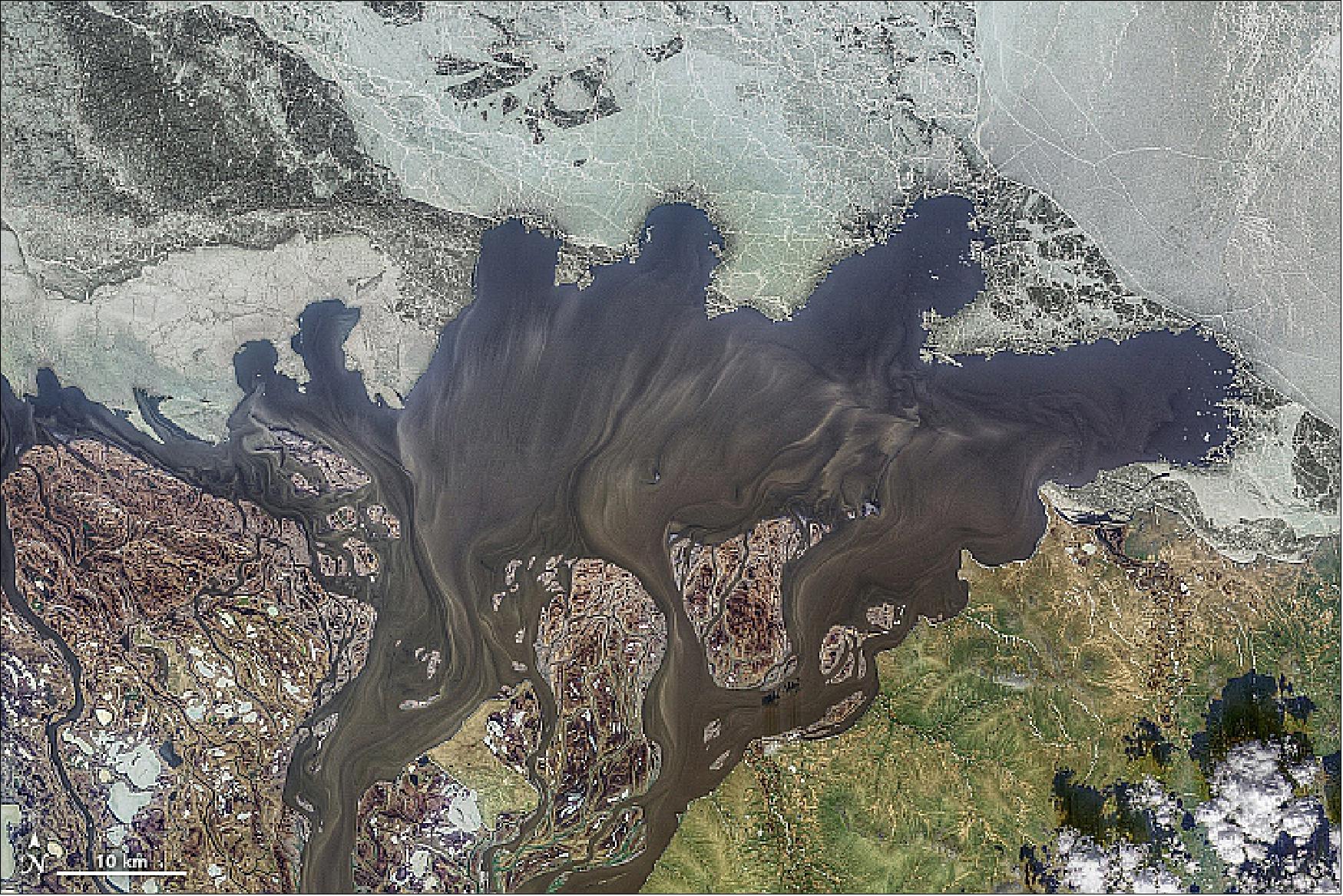 Figure 65: This image from the Operational Land Imager on the Landsat-8 satellite shows the “blackwater” stream on June 16, 2019. Note that the East Siberian Sea remains covered with ice (image credit: NASA Earth Observatory, image by Norman Kuring/NASA's Ocean Color Web, using Landsat data from the U.S. Geological Survey. Story by Kasha Patel)