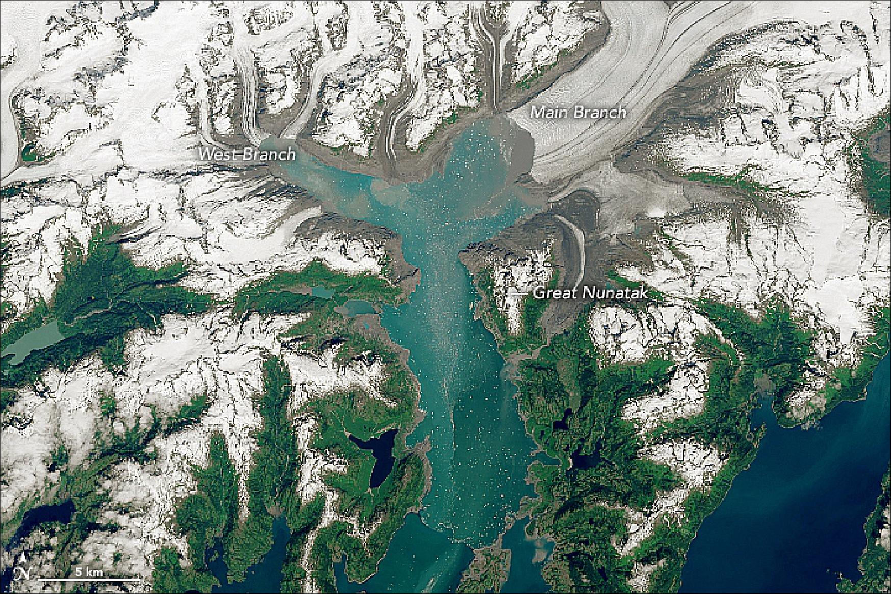 Figure 39: OLI on Landsat-8 acquired this image of Alaska's Columbia Glacier on 21 June 2019. One branch of the Glacier seems to have retreated as far as it can, while the other still has some distance to go (image credit: NASA Earth Observatory, image by Lauren Dauphin, using Landsat data from the U.S. Geological Survey. Story by Kathryn Hansen)