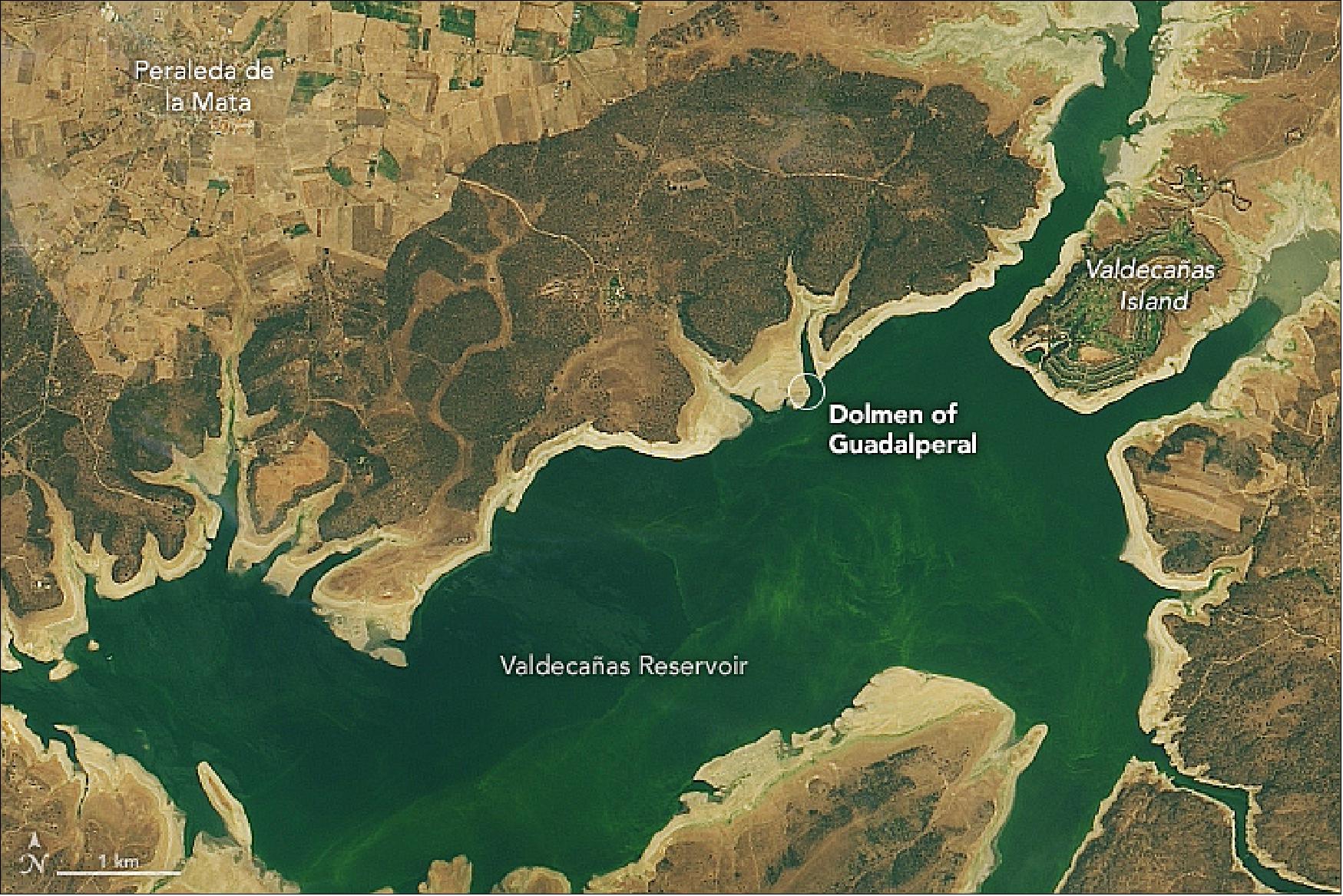 Figure 32: The Dolmen de Guadalperal resurfaced after five decades underwater. OLI on Landsat-8 acquired this image on 25 July 2019. Note the changing water levels and the widening of the tan ring around the shoreline; these lighter colored sediments are the recently exposed lake bottom. A circle marks the area where the remains of the Dolmen of Guadalperal are said to appear (image credit: NASA Earth Observatory, image by Lauren Dauphin, using Landsat data from the U.S. Geological Survey, story by Kasha Patel)