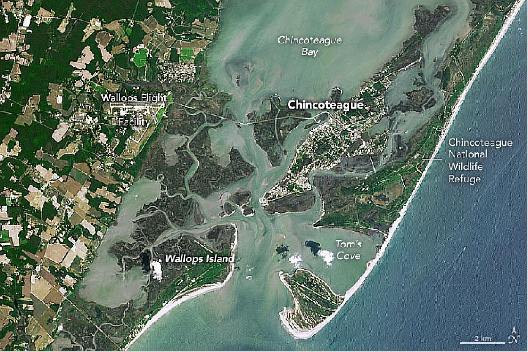 Figure 28: This natural color image, acquired with Landsat-8 on 2 June 2019, shows the change to Assateague, Chincoteague, and Wallops islands across three decades. Some of the color differences are related to the different sensors and likely different tidal stages at the time of each image (image credit: NASA Earth Observatory image by Joshua Stevens, using Landsat data from the U.S. Geological Survey. Story by Michael Carlowicz)