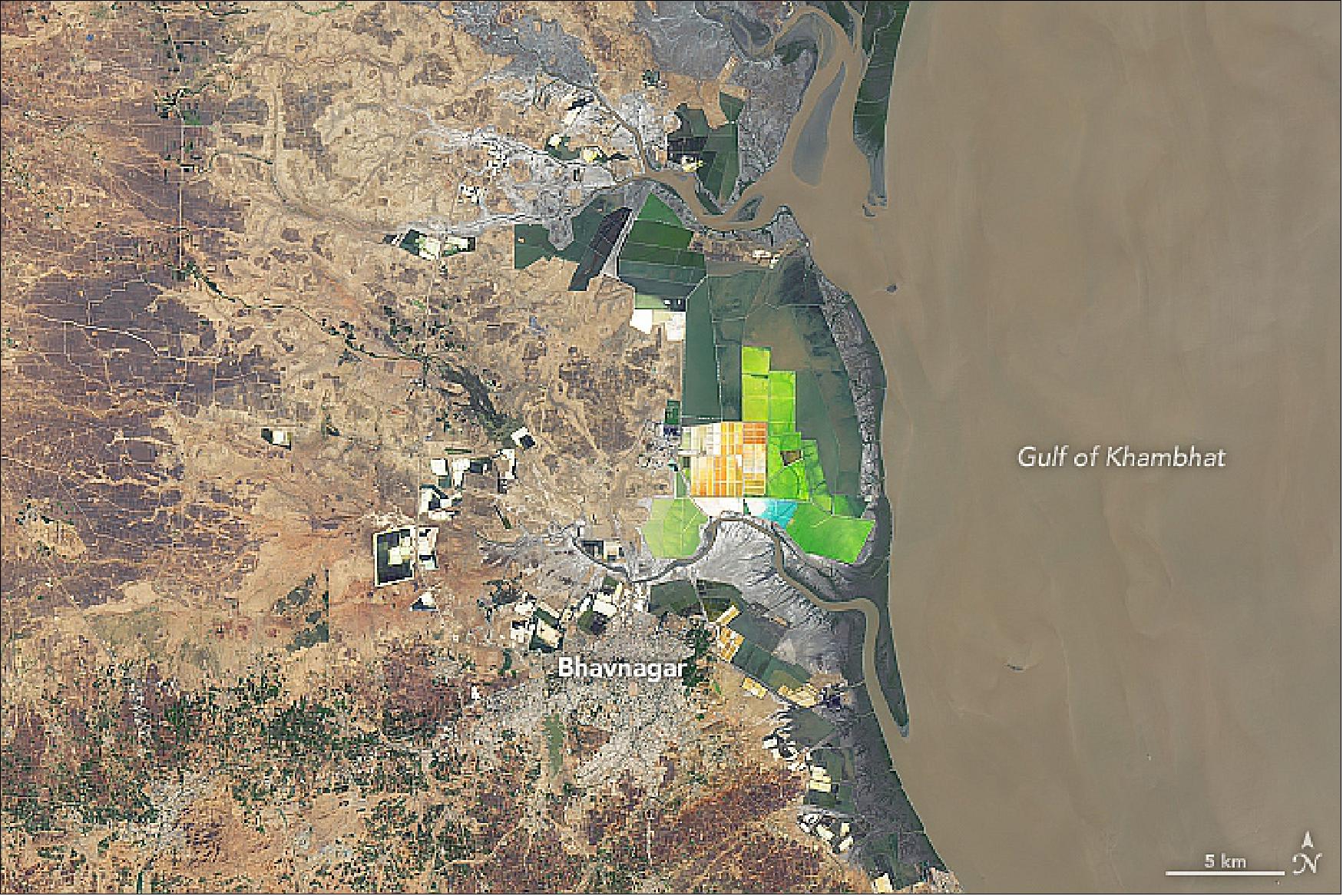 Figure 25: The images of Figures 25 and 26 show the city of Bhavnagar, which is located in one of the major salt-producing districts in the state. They were acquired on February 28, 2019, by OLI on Landsat-8. The colorful rectangles are salt evaporation ponds and often seen in major salt-producing areas, such as the Makgadikgadi Pan in Botswana (image credit: NASA Earth Observatory images by Lauren Dauphin, using Landsat data from the U.S. Geological Survey. Story by Kasha Patel)