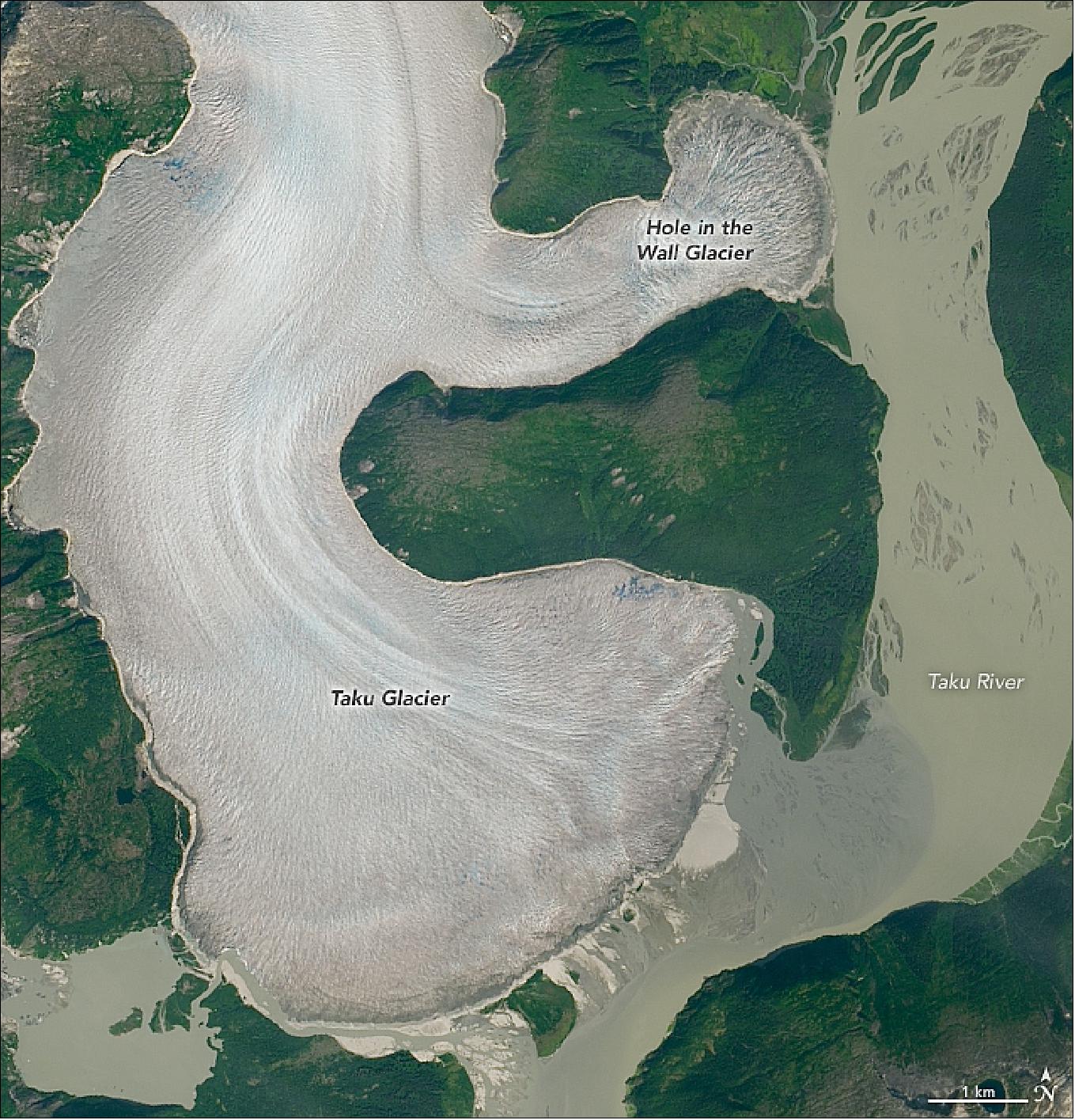 Figure 21: This natural color image shows the glacier on 9 August 2019. The image was acquired with OLI on Landsat-8 (image credit: NASA Earth Observatory, image by Lauren Dauphin, using Landsat data from the U.S. Geological Survey. Story by Kasha Patel)
