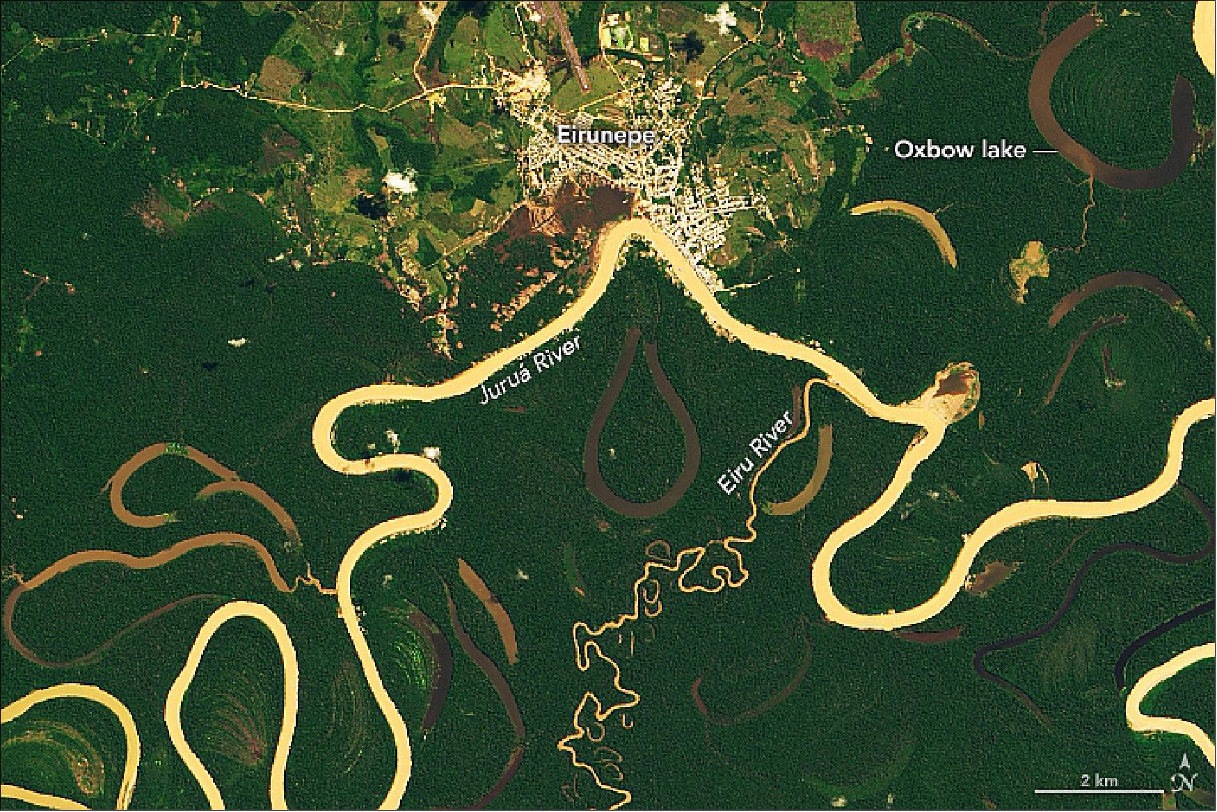Figure 19: Meanders make up two thirds of the Juruá’s length, making it one of the most sinuous rivers in the Amazon Basin. On May 27, 2019, the Operational Land Imager (OLI) acquired this image of a stretch near Eirunepé, a settlement established in the 1800s as a hub for rubber production. A semicircle of land has been cleared around the city (light green), probably for ranching. Buildings and roads (white) are clustered along the river, which flows through seasonally flooded wetland forests known as várzea (dark green), image credit: NASA Earth Observatory, image by Lauren Dauphin, using Landsat data from the U.S. Geological Survey. Story by Adam Voiland