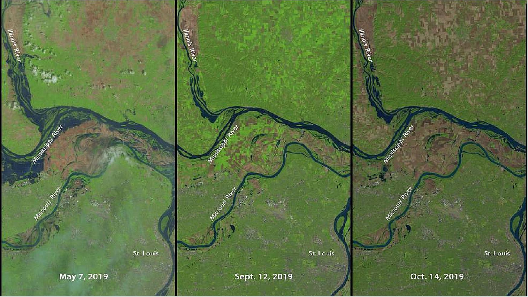 Figure 10: Three moments in a tumultuous year for farming north of St. Louis, MO, as seen in NASA-USGS Landsat-8 data. On the left is May 7, 2019, as heavy rains delayed planting for many farms. Sept 12, 2019, in the middle, shows bright green signifying growing vegetation, although with a fair amount of brown, bare fields. On the right, Oct. 14, 2019, the light brown indicates harvested fields while darker brown are fields that have not been seeded or fallow all summer (image credits: NASA)