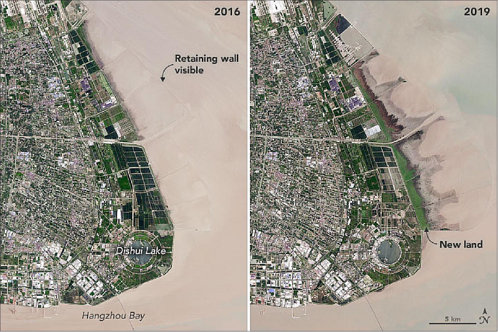 Figure 6: While reclaimed land is typically used for ports, industry, and housing, Shanghai stands out for devoting some of its new land to parks, forests, and wetlands. That tendency is visible in this pair of images from 2016 and 2019, acquired by the Operational Land Imager (OLI) on Landsat-8. Nanhui is a newly-built city in Pudong on Hangzhou Bay, about 60 km from downtown Shanghai (image credit: NASA Earth Observatory, images by Joshua Stevens, using Landsat data from the U.S. Geological Survey. Story by Adam Voiland)