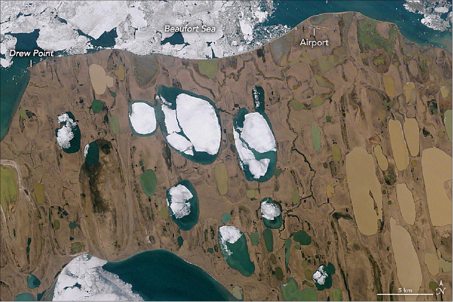 Figure 111: This image of the north slope of Alaska was acquired by the Landsat 4 satellite on July 8, 1992. Note that changes in ice cover between images reflect a long-term trend, but also simple seasonal differences (image credit: NASA Earth Observatory image by Lauren Dauphin, using Landsat data from the U.S. Geological Survey and NDVI and NDWI annual trend data courtesy of Neal Pastick. Story by Kathryn Hansen)