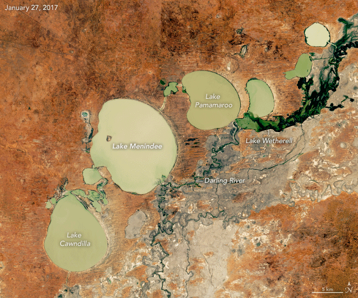 Figure 104: These satellite images show the dwindling water levels of the Menindee Lakes, a chain of freshwater lakes located 110 kilometers (70 miles) southeast of Broken Hill. The shallow natural depressions were developed into water storage by the Australian government to manage river flows. The images were acquired by the Operational Land Imager on Landsat-8 on January 27, 2017, February 15, 2018, and February 2, 2019 (image credit: NASA Earth Observatory, image by Lauren Dauphin, using Landsat data from the U.S. Geological Survey. Story by Kasha Patel)