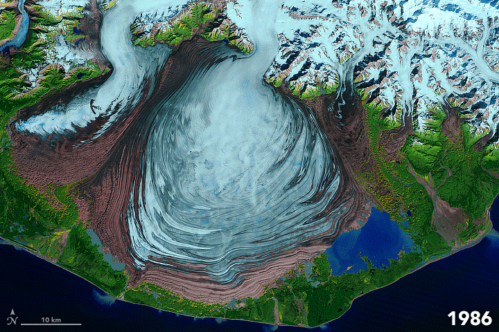 Figure 37: This animation was composed from a sequence of false-color images acquired between 1986 and 2003 by the Landsat-5 and -7 satellites. The moving ice appears in shades of blue. Brown lines are moraines—areas where soil, rock, and other debris have been scraped up by the glacier and deposited at its sides. This debris often gets trapped as internal ribbons of rock where two glaciers merge and become one at a confluence (image credit: NASA Earth Observatory, image by Joshua Stevens, using Landsat data from the NASA MEaSUREs program at JPL. Story by Kathryn Hansen)