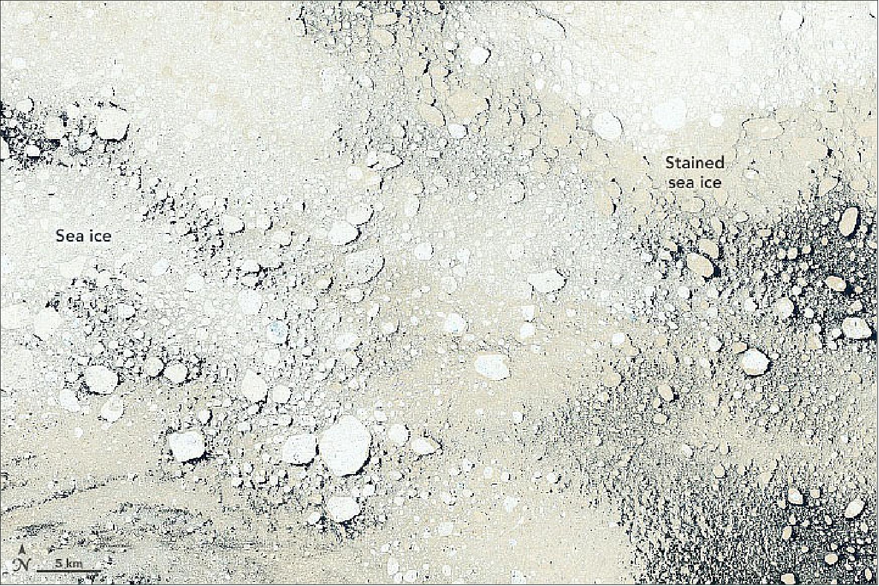 Figure 93: More than 400 years later, the phenomenon continues to stand out, even in satellite imagery. The Operational Land Imager (OLI) on Landsat-8 captured this image of beige ice drifting south of Prince Charles Island on June 22, 2016. The color is likely due to staining from silt and sediment—particles of eroded rock and soil that accumulate on the ocean floor (image credit: NASA Earth Observatory image by Joshua Stevens, using Landsat data from the U.S. Geological Survey. Story by Adam Voiland)