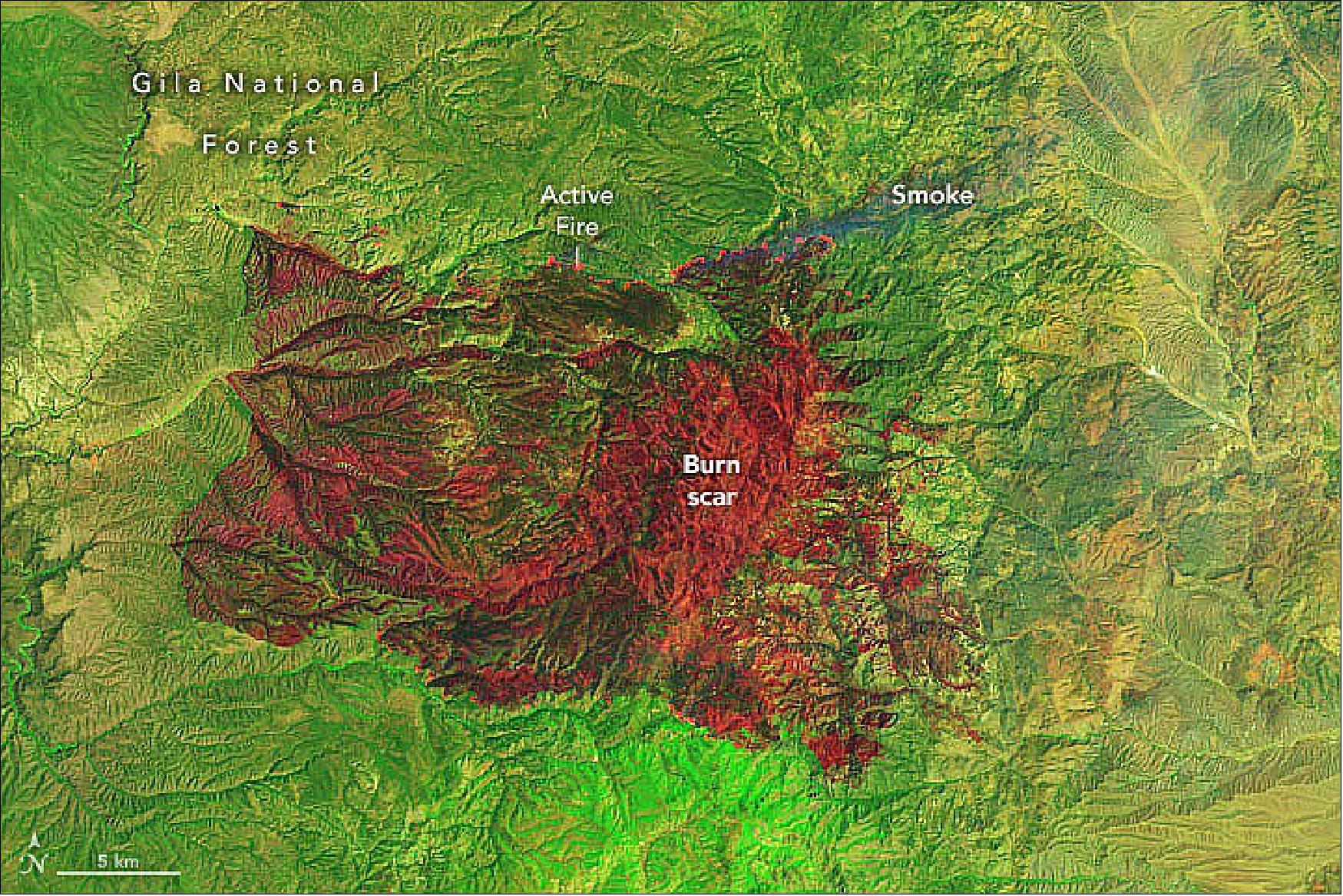 Figure 43: The intensity and speed of the Black fire grew quickly, producing a pyrocumulonimbus cloud and crossing the Continental Divide, to become the second-largest fire in the state (image credit: NASA Earth Observatory)