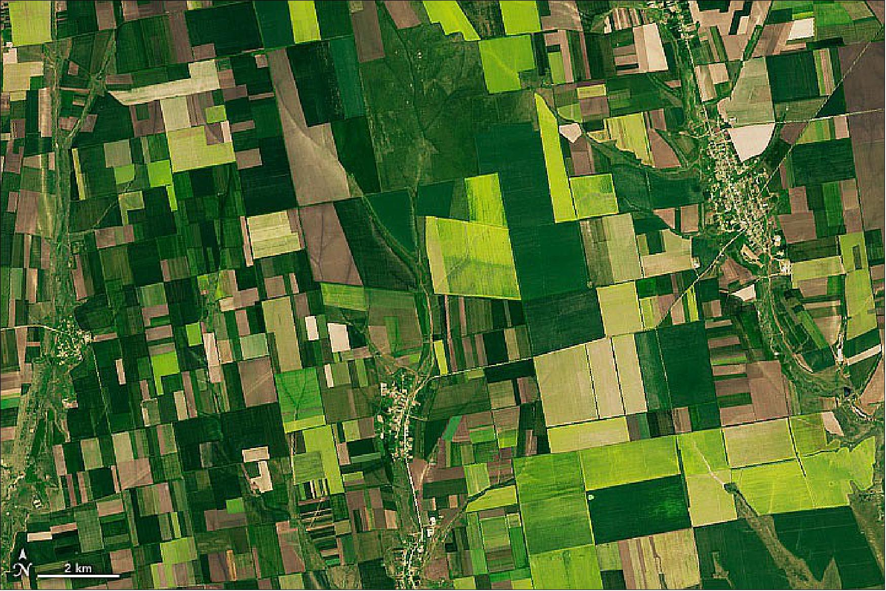 Figure 22: This Landsat-8 image shows fields of canola blooming in Mykolaiv oblast near Shyrokolanivka on May 20, 2022. Mykolaiv is Ukraine’s highest-volume port for grain, typically handling about 40 percent of exports. (Other major grain-exporting ports include Chornomorsk, Yuzhne, and Odesa.) Ships have historically carried about 97 percent of Ukraine’s grain exports, so all ports have seen sharp drops in volume this year (image credit: NASA Earth Observatory)
