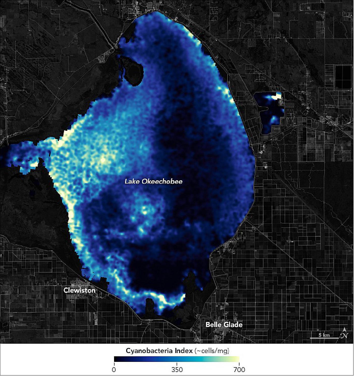 Figure 17: The map shows estimates of cyanobacteria concentrations on July 13, 2022, as reported by the CyAN (Cyanobacteria Assessment Network). The CyAN project includes contributions from NASA, the Environmental Protection Agency, the U.S. Geological Survey, and the National Oceanic and Atmospheric Administration. Instruments on the NASA/USGS Landsat satellites, the European Space Agency’s Sentinel-2 and 3 satellites, as well as several others, can detect some of the spectral signatures of algae, particularly through the fluorescent light the organisms emit in response to sunlight. Compiling and analyzing satellite images of different resolutions and wavelengths, NASA scientists produce weekly reports on the color and other properties of water across Lake Okeechobee and other water bodies in the United States (image credit: NASA Earth Observatory images by Lauren Dauphin, using Landsat data from the U.S. Geological Survey and cyanobacteria data from the Cyanobacteria Assessment Network (CyAN). Story by Michael Carlowicz)