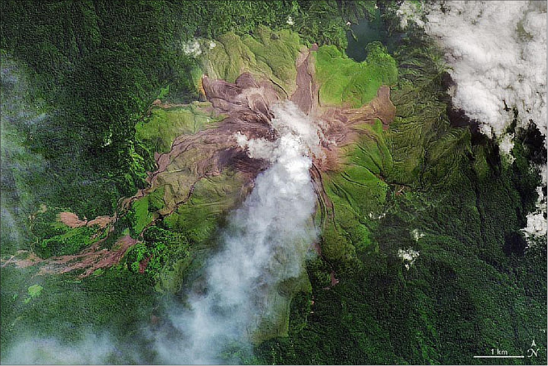 Figure 24: Recent lava flows are visible in this image acquired on May 28, 2022, by the Operational Land Imager-2 (OLI-2) on Landsat 9. The fresh lava is dark brown, while lighter brown areas were likely stripped of vegetation by volcanic debris or acidic gases. Older lava flows are covered in light green vegetation, and the surrounding forests are dark green. The volcanic plume, as well as some nearby clouds, are white (image credit: NASA Earth Observatory image by Joshua Stevens, using Landsat data from the U.S. Geological Survey. Story by Sara E. Pratt)