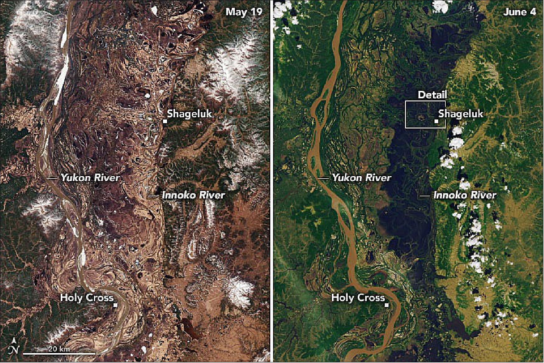 Figure 22: The transition is evident in these natural-color images, acquired by the Operational Land Imager-2 (OLI-2) on Landsat-9. The left image shows the lowlands on May 19, 2022, during a typical mid-spring day. The right image shows the same area on June 4, 2022, after meltwater had inundated the landscape (image credit: NASA Earth Observatory images by Joshua Stevens, using Landsat data from the U.S. Geological Survey. Story by Kathryn Hansen with input from the Adolph Hamilton family stories and experiences)