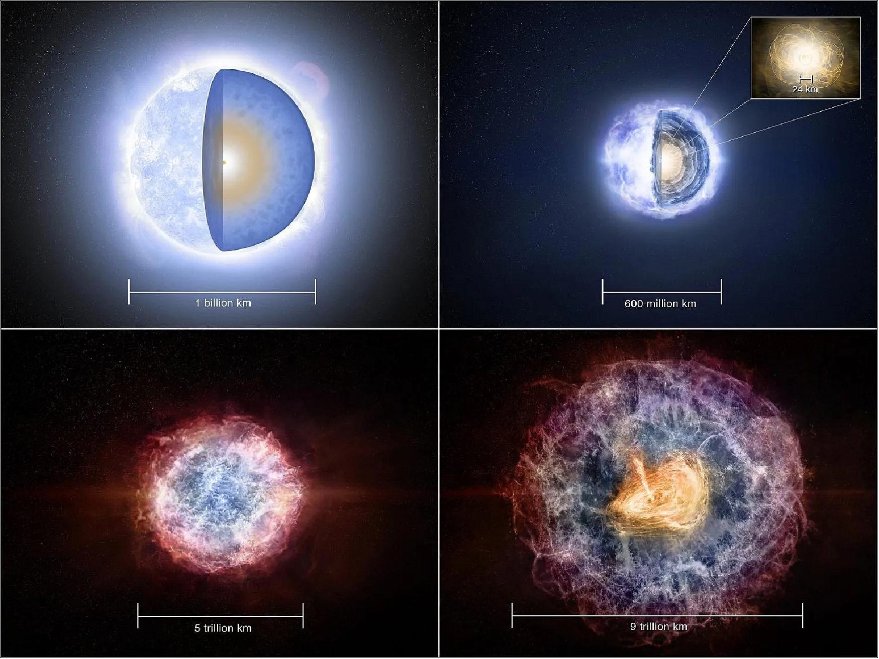 Figure 9: Top Left: A giant blue star, much more massive than our Sun, has consumed, through nuclear fusion at its center, all its hydrogen, helium, and heavier elements up to iron. It now has a small iron core (red dot) at its center. Unlike the earlier stages of fusion, the fusion of iron atoms absorbs, rather than releases, energy. The fusion-released energy that has held up the star against its own weight now is gone, and the star will quickly collapse, triggering a supernova explosion. Top Right: The collapse has begun, producing a superdense neutron star with a strong magnetic field at its center (inset). The neutron star, though containing about 1.5 times the mass of the Sun, is only about the size of Manhattan. Bottom Left: The supernova explosion has ejected a fast-moving shell of debris outward into interstellar space. At this stage, the debris shell is dense enough to shroud from view any radio waves coming from the region of the neutron star. Bottom Right: As the shell of explosion debris expands over a few decades, it becomes less dense and eventually becomes thin enough that radio waves from inside can escape. This allowed observations by the VLA Sky Survey to detect bright radio emission created as the rapidly spinning neutron star’s powerful magnetic field sweeps through the surrounding space, accelerating charged particles. This phenomenon is called a pulsar wind nebula (image credit: Melissa Weiss, NRAO/AUI/NSF)