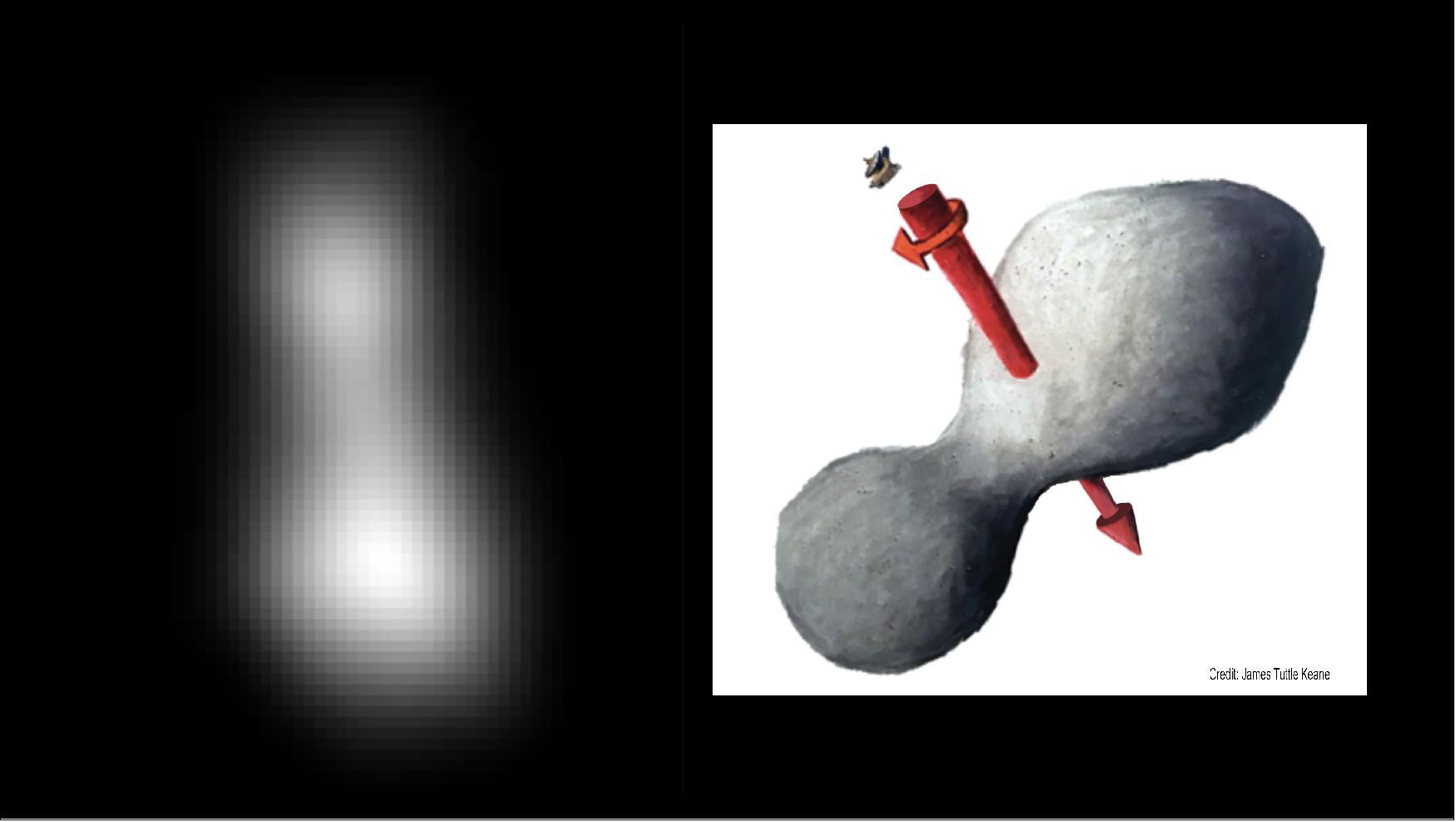 Figure 45: At left is a composite of two images taken by New Horizons' high-resolution Long-Range Reconnaissance Imager (LORRI), which provides the best indication of Ultima Thule's size and shape so far. Preliminary measurements of this Kuiper Belt object suggest it is approximately 20 miles long by 10 miles wide (32 kilometers by 16 kilometers). An artist's impression at right illustrates one possible appearance of Ultima Thule, based on the actual image at left. The direction of Ultima's spin axis is indicated by the arrows (image credit: NASA, JHU/APL, SwRI; sketch courtesy of James Tuttle Keane)