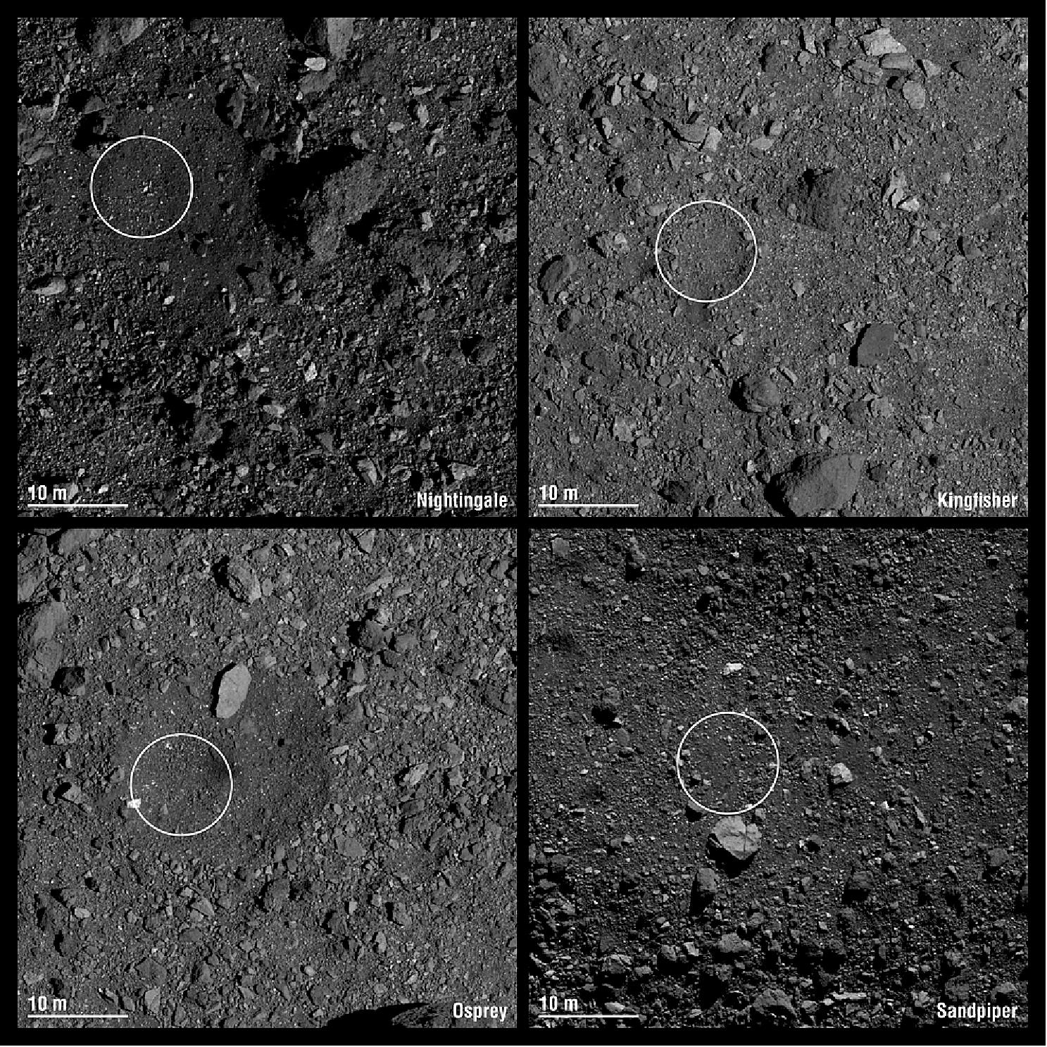Figure 51: Pictured are the four candidate sample collection sites on asteroid Bennu selected by NASA’s OSIRIS-REx mission. Site Nightingale (top left) is located in Bennu’s northern hemisphere. Sites Kingfisher (top right) and Osprey (bottom left) are located in Bennu’s equatorial region. Site Sandpiper (bottom right) is located in Bennu’s southern hemisphere. In December, one of these sites will be chosen for the mission’s touchdown event (image credit: NASA/University of Arizona)