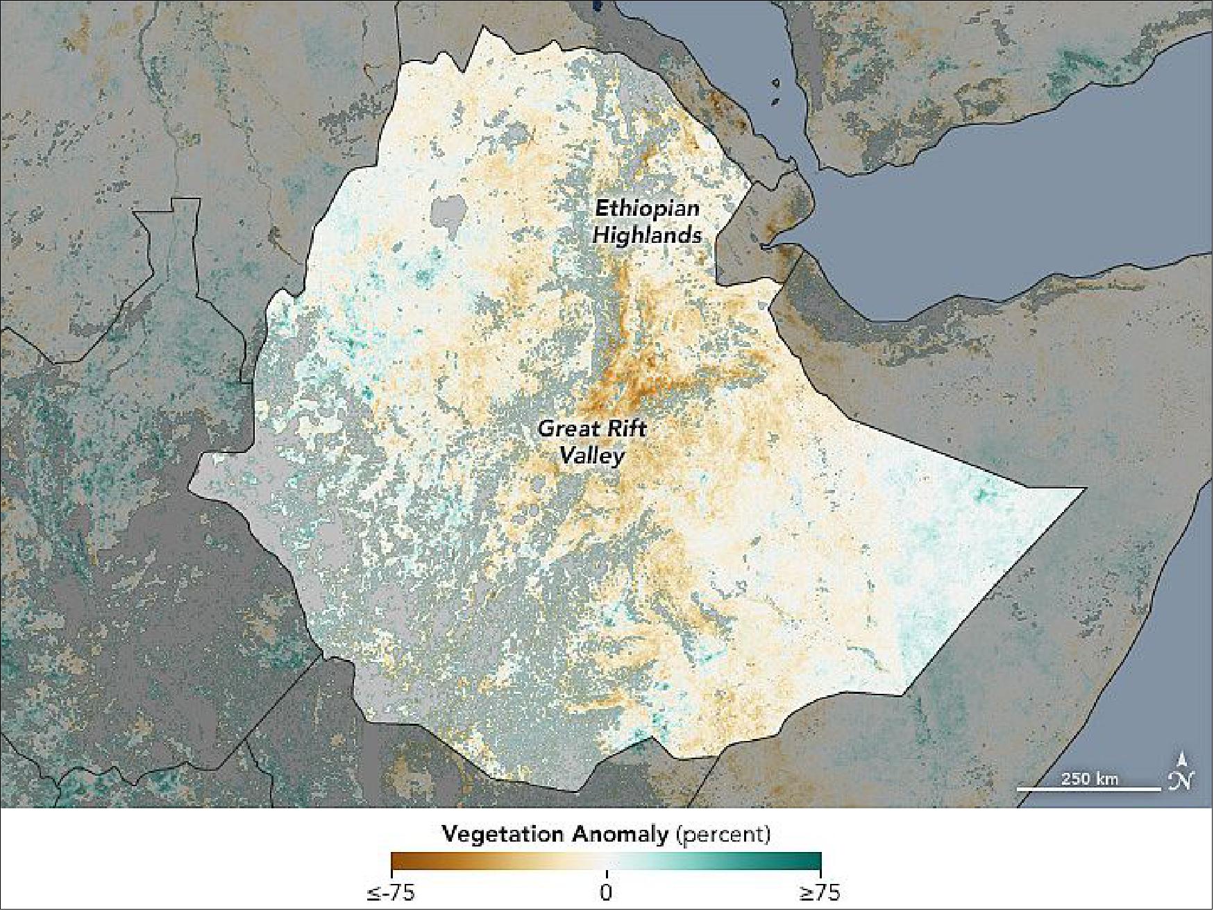 Figure 34: MODIS data of the Aqua mission. The map shows the NDVI anomaly: it contrasts vegetation health from March 29 to April 5, 2016, against the long-term average from 2000–2015. Brown areas show where plant growth, or "greenness," was below normal. Greens indicate vegetation that is more widespread or abundant than normal for the time of year. Grays depict areas where reliable data were not available, usually due to cloud cover (image credit: NASA Earth Observatory, images by Joshua Stevens and Jesse Allen)