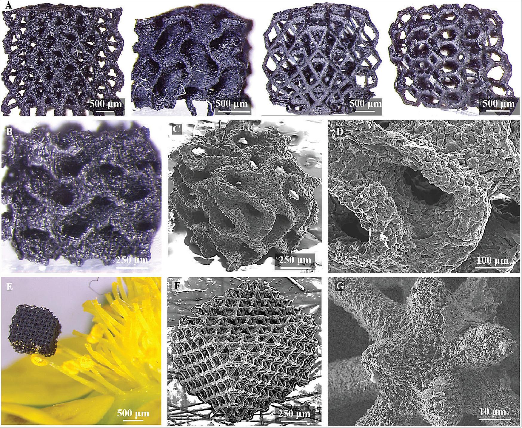 Figure 88: (A) Four ‘‘Green’’ MAG parts of differing unit-cell structures before pyrolysis from left to right octet-truss, gyroid, cubo-octahedron, and Kelvin foam; (B) optical image of pyrolyzed gyroid; (C) SEM image of pyrolyzed gyroid with intricate overhang structures (D) zoomed image of pyrolyzed gyroid in ‘‘C’’; (E) optical image of pyrolyzed MAG octet-truss, of a different design than shown in ‘‘A’’ supported by a single strawberry blossom filament; (F) SEM image of pyrolyzed octet-truss MAG in ‘‘E’’; (G) zoomed image of octet-truss in ‘‘E’’ showing the very high 10 µm resolution achievable in our process (image credit: 3D print graphene study team of Virginia Tech and Lawrence Livermore National Laboratory)