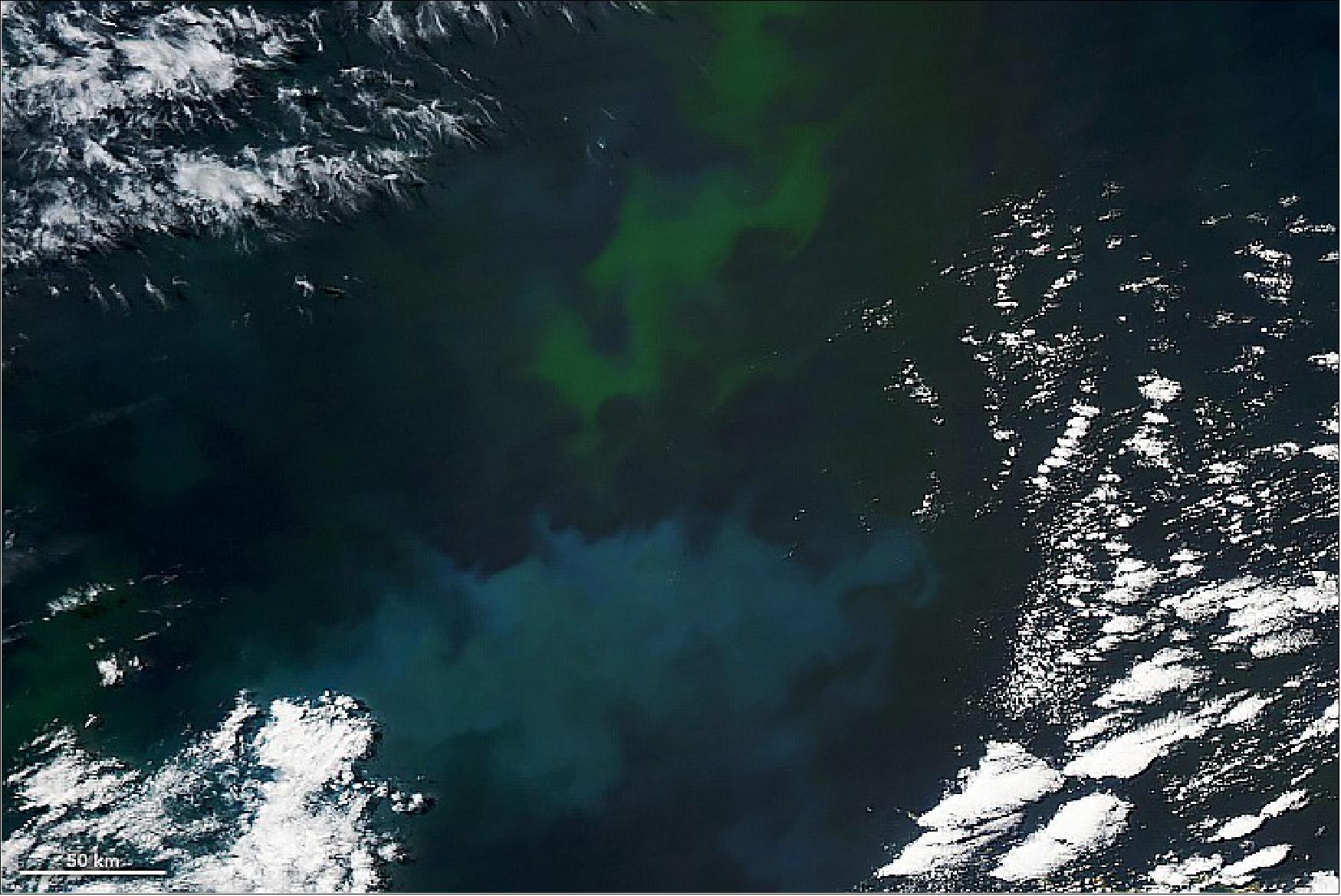 Figure 34: This closeup was captured the same day (24 January) by the MODIS sensor on NASA’s Aqua satellite. MODIS sensors have been observing nearly continuous blooms in the area since the end of November (image credit: NASA Earth Observatory)