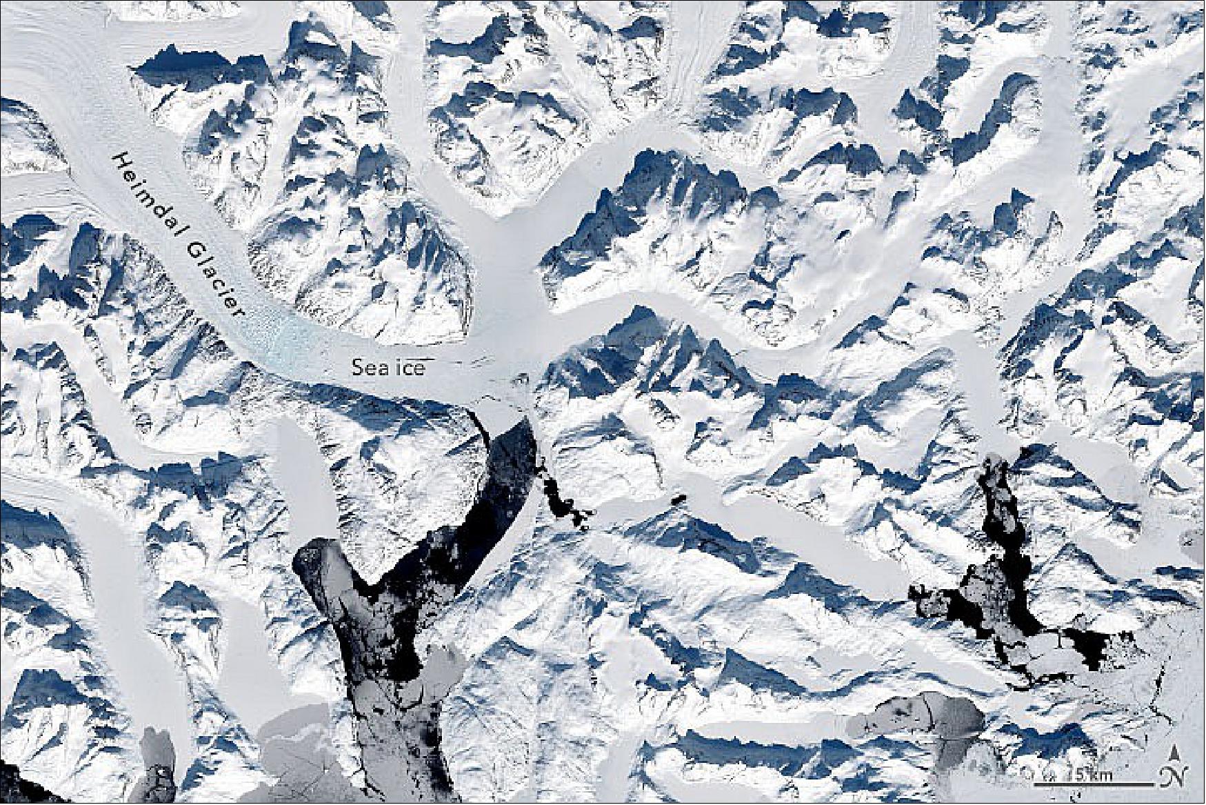 Figure 12: One example is the Heimdal Glacier. The glacier is part of the Timmiarmiut Fjord system and within the habitat of the Southeast Greenland subpopulation. In April 2022, sea ice still hugged the front of Heimdal Glacier, acquired with OLI-2 on Landsat-9 (image credit: NASA Earth Observatory)