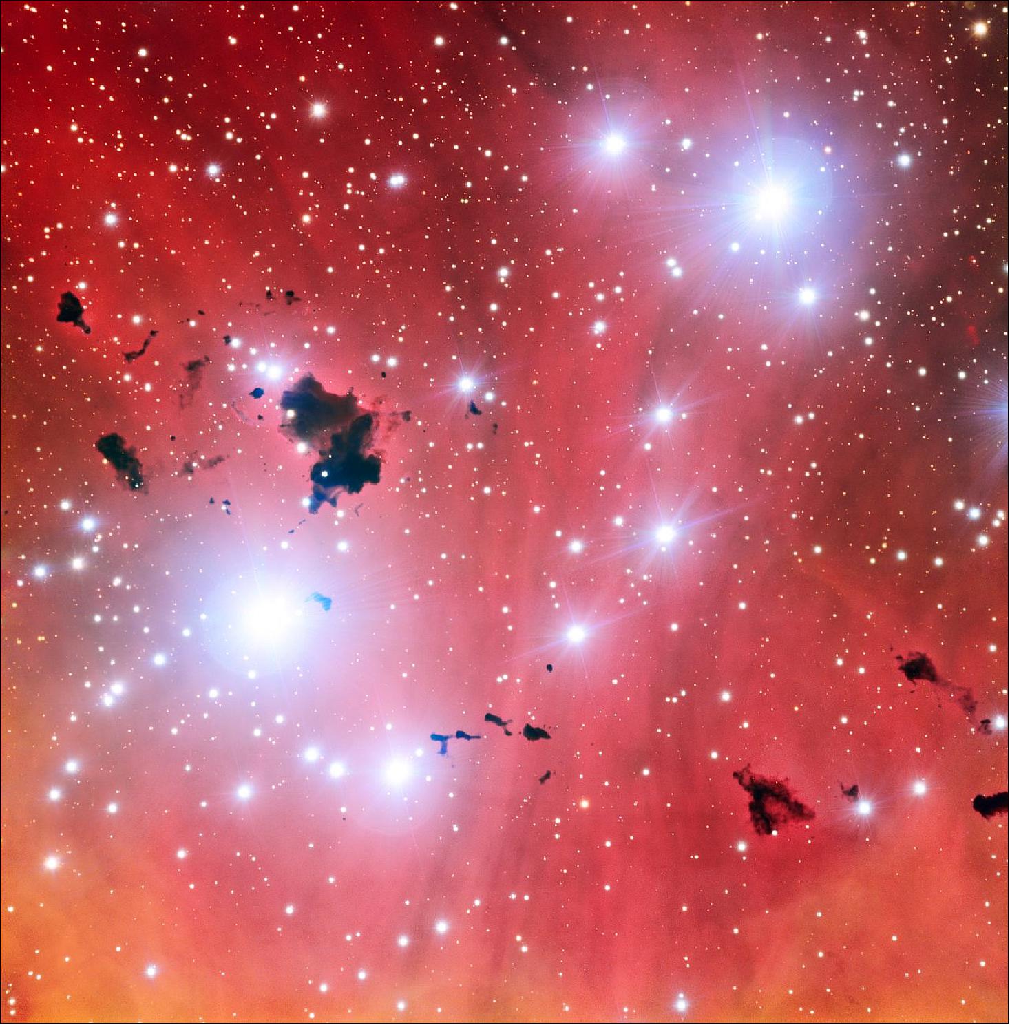 Figure 82: With this new view of a spectacular stellar nursery ESO is celebrating 15 years of the Very Large Telescope — the world's most advanced optical instrument. This picture reveals thick clumps of dust silhouetted against the pink glowing gas cloud known to astronomers as IC 2944. These opaque blobs resemble drops of ink floating in a strawberry cocktail, their whimsical shapes sculpted by powerful radiation coming from the nearby brilliant young stars (image credit: ESO)