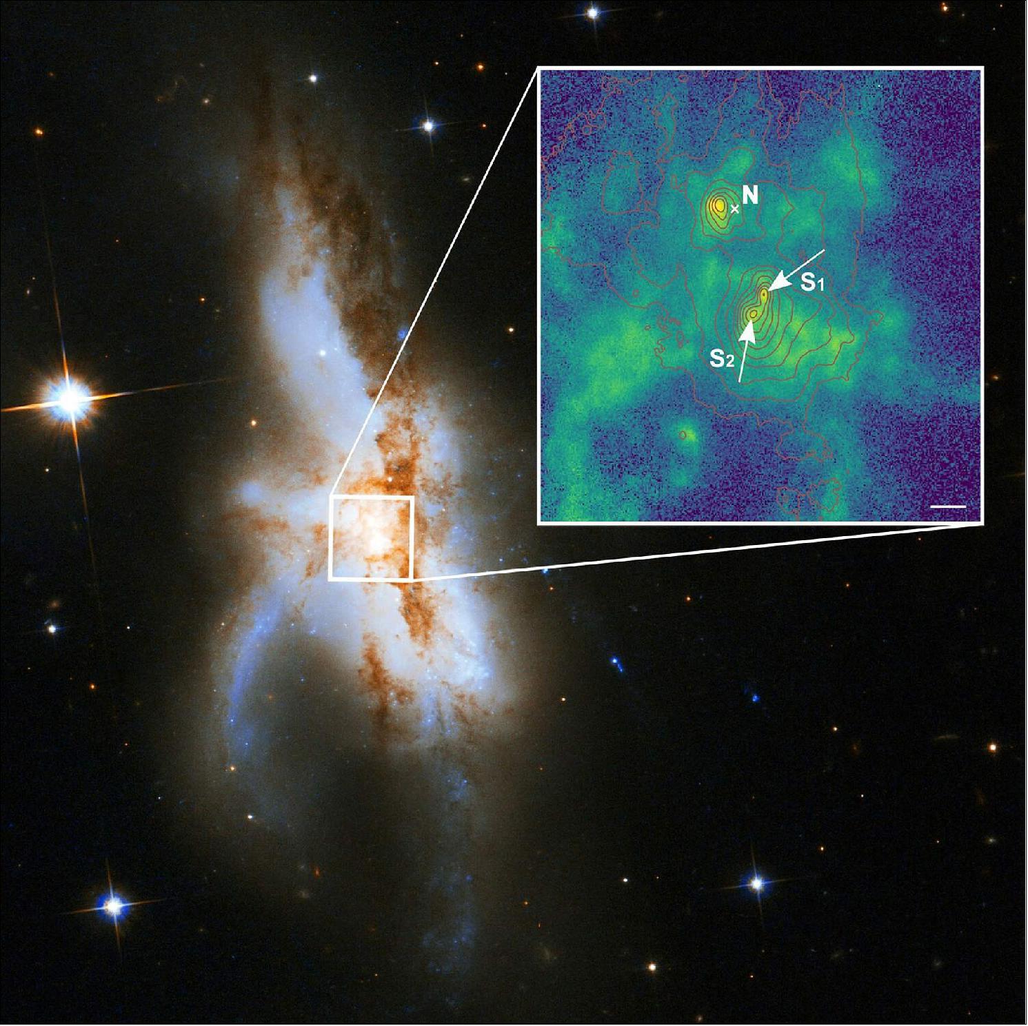 Figure 45: The irregular galaxy NGC 6240. New observations show that it harbors not two but three supermassive black holes at its core. The northern black hole (N) is active and was known before. The zoomed-in new high-spatial resolution image shows that the southern component consists of two supermassive black holes (S1 and S2). The green color indicates the distribution of gas ionized by radiation surrounding the black holes. The red lines show the contours of the starlight from the galaxy and the length of the white bar corresponds to 1000 light years [image credit: P Weilbacher (AIP), NASA, ESA, the Hubble Heritage (STScI/AURA)-ESA/Hubble Collaboration, and A Evans (University of Virginia, Charlottesville/NRAO/Stony Brook University)]