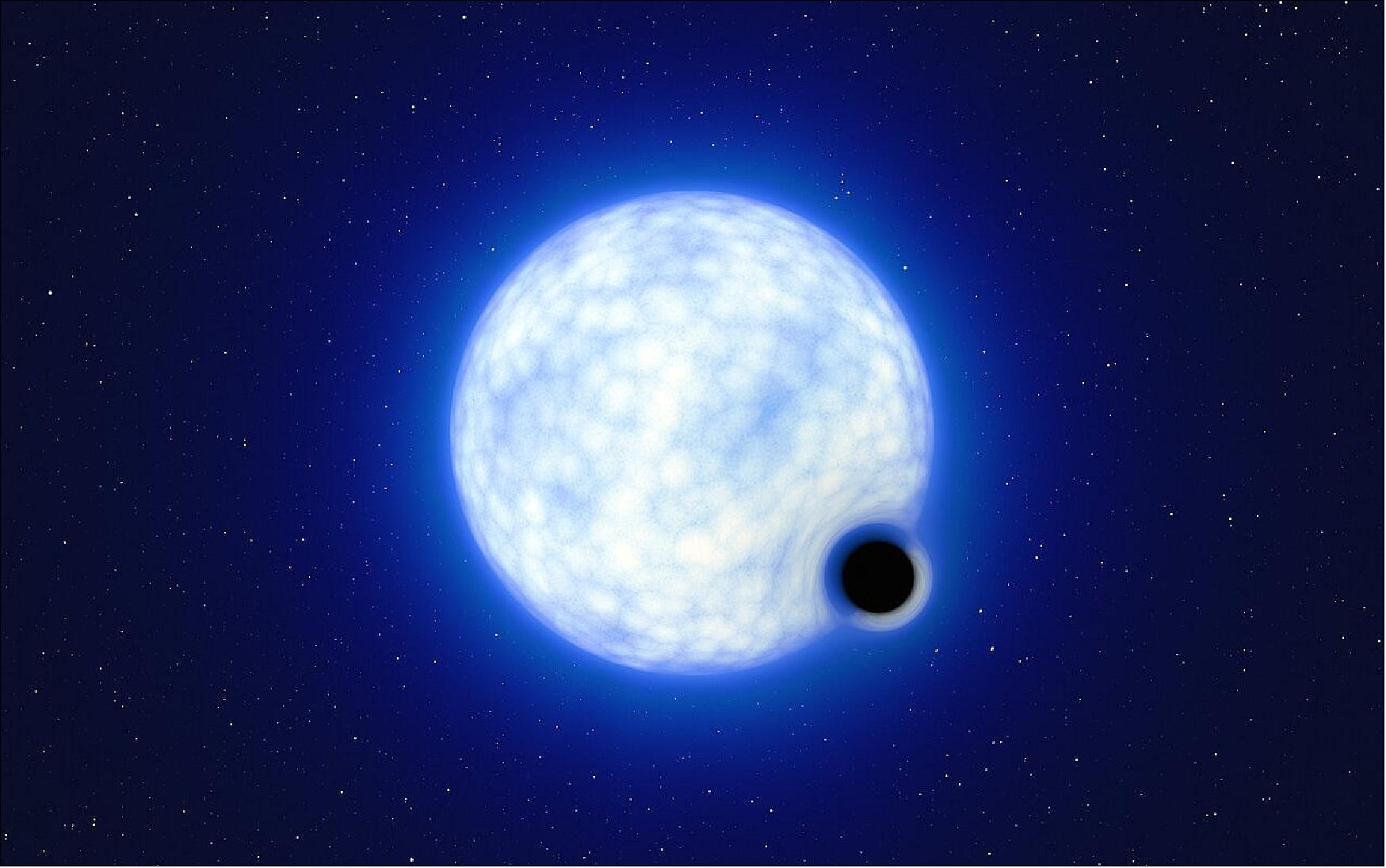 Figure 4: This artist’s impression shows what the binary system VFTS 243 might look like if we were observing it up close. The system, which is located in the Tarantula Nebula in the Large Magellanic Cloud, is composed of a hot, blue star with 25 times the Sun’s mass and a black hole, which is at least nine times the mass of the Sun. The sizes of the two binary components are not to scale: in reality, the blue star is about 200,000 times larger than the black hole. -Note that the 'lensing' effect around the black hole is shown for illustration purposes only, to make this dark object more noticeable in the image. The inclination of the system means that, when looking at it from Earth, we cannot observe the black hole eclipsing the star (image credit: ESO/L. Calçada)