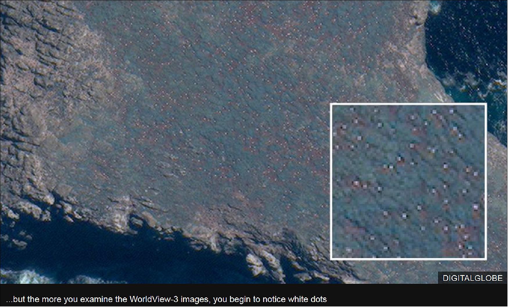 Figure 13: WorldView-3 can see the nesting birds as they sit on eggs to incubate them or as they guard newly hatched chicks (image credit: BBC, DigitalGlobe)